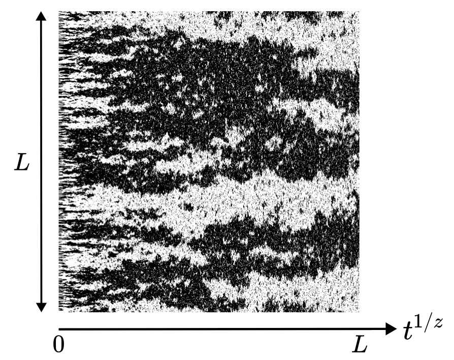 Critical fluctuations of the Ising model